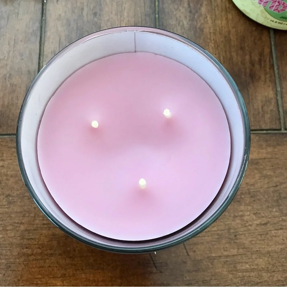 🆕40+ Hrs Mr. Mint Candy Land 3 Wick Candle